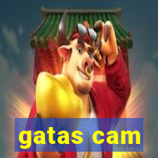 gatas cam